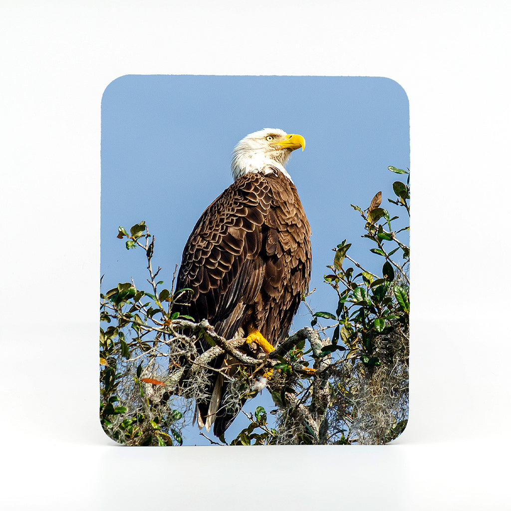 A bald eagle photograph on a rectangle rubber mouse pad