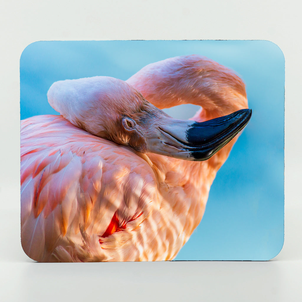 a flamingo photograph on a rectangle rubber mouse pad