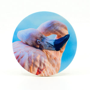Flamingo sleeping photograph on a 4" round rubber home coasters