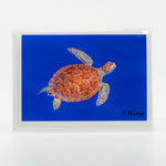 A photograph of green sea turtle in the  Caribbean Blue Water Greeting card