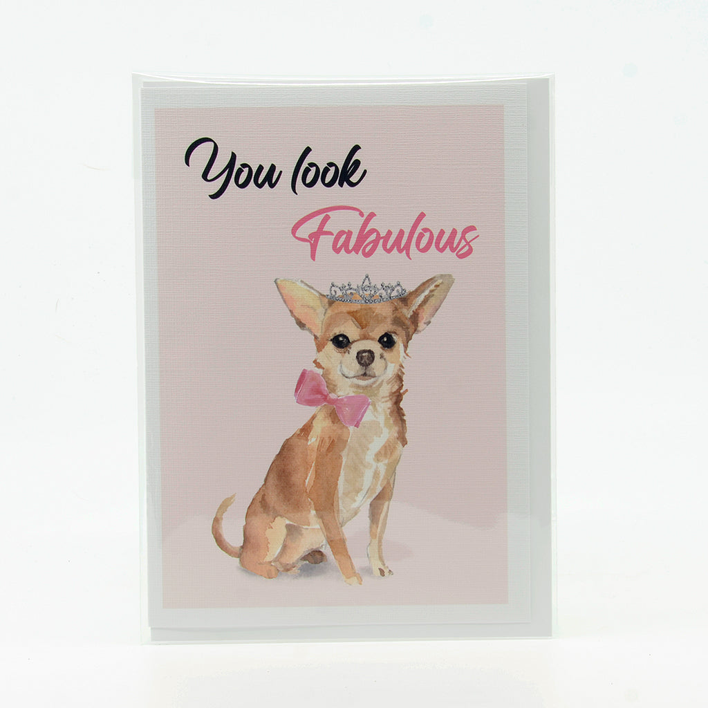 You look fabulous Chihuahua canvas notecard