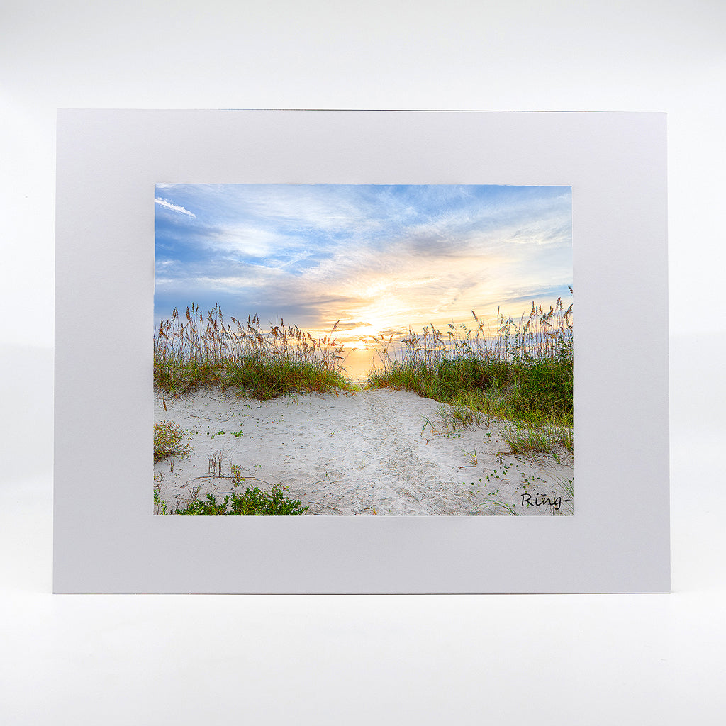 The beach dunes photograph matted to 11"x14"