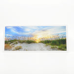 Divine Light Pano Notecard (Image:   Sea Oats on New Smyrna Beach, Florida)