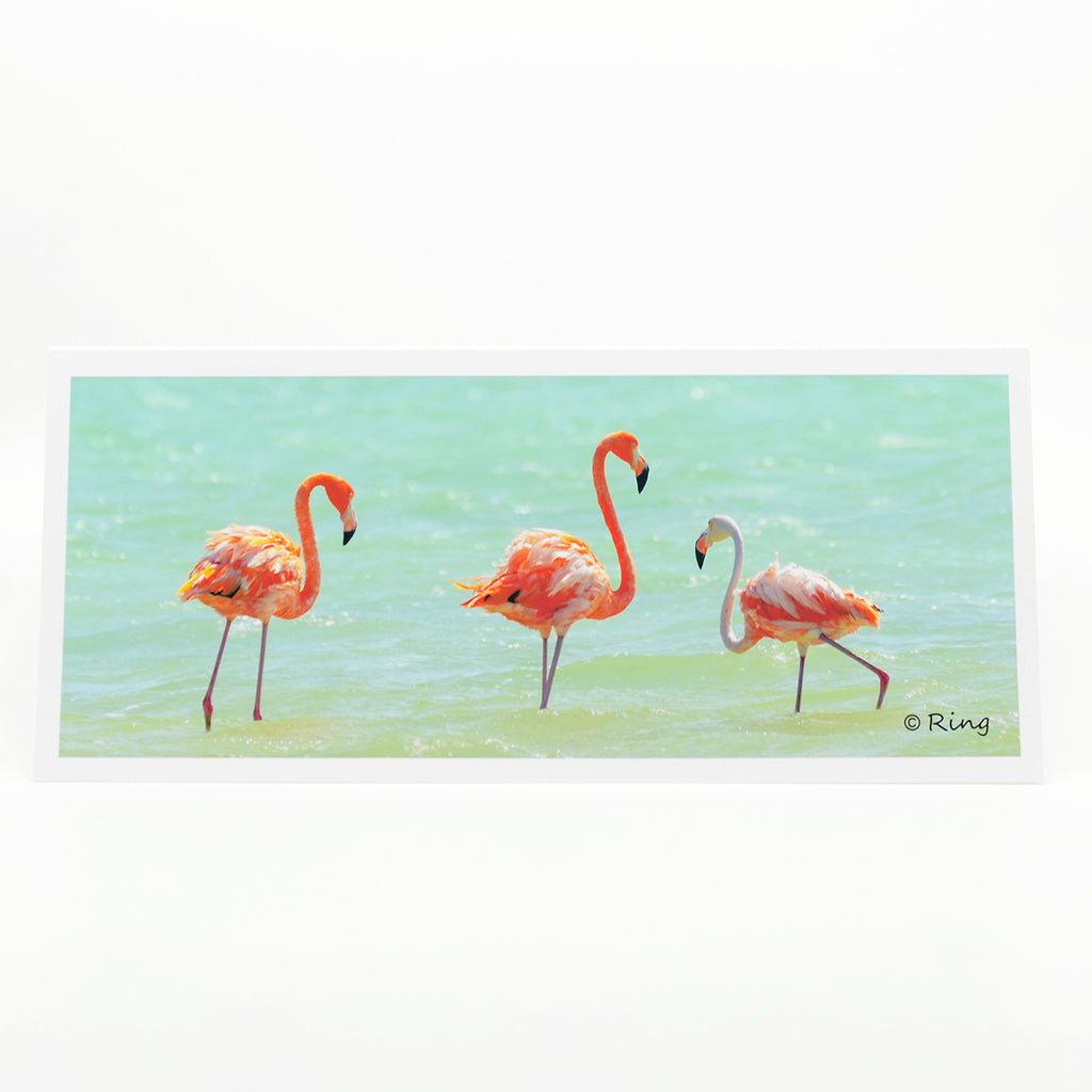 "Flamingo 10" Notecard.  A panoramic view of a Live Oak Tree driftwood on Jekyll Island, GA.    This artwork is printed on an amazing quality notecard.