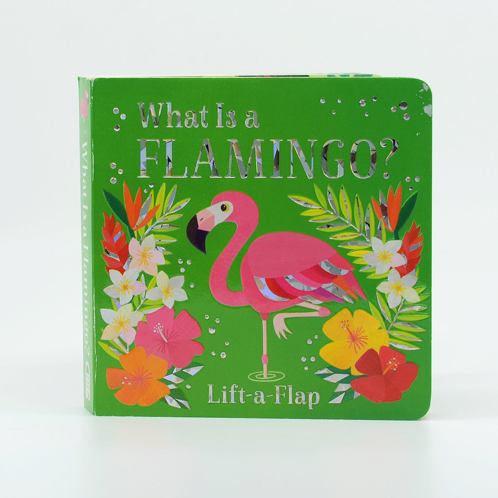 What is a Flamingo?   Kids Hardboard Book