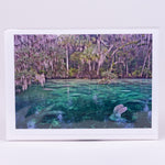 Lots of Manatees at Blue Springs State Park Photographic Notecard
