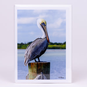 Photograph of Brown Pelican on Piling Notecard (Glossy)
