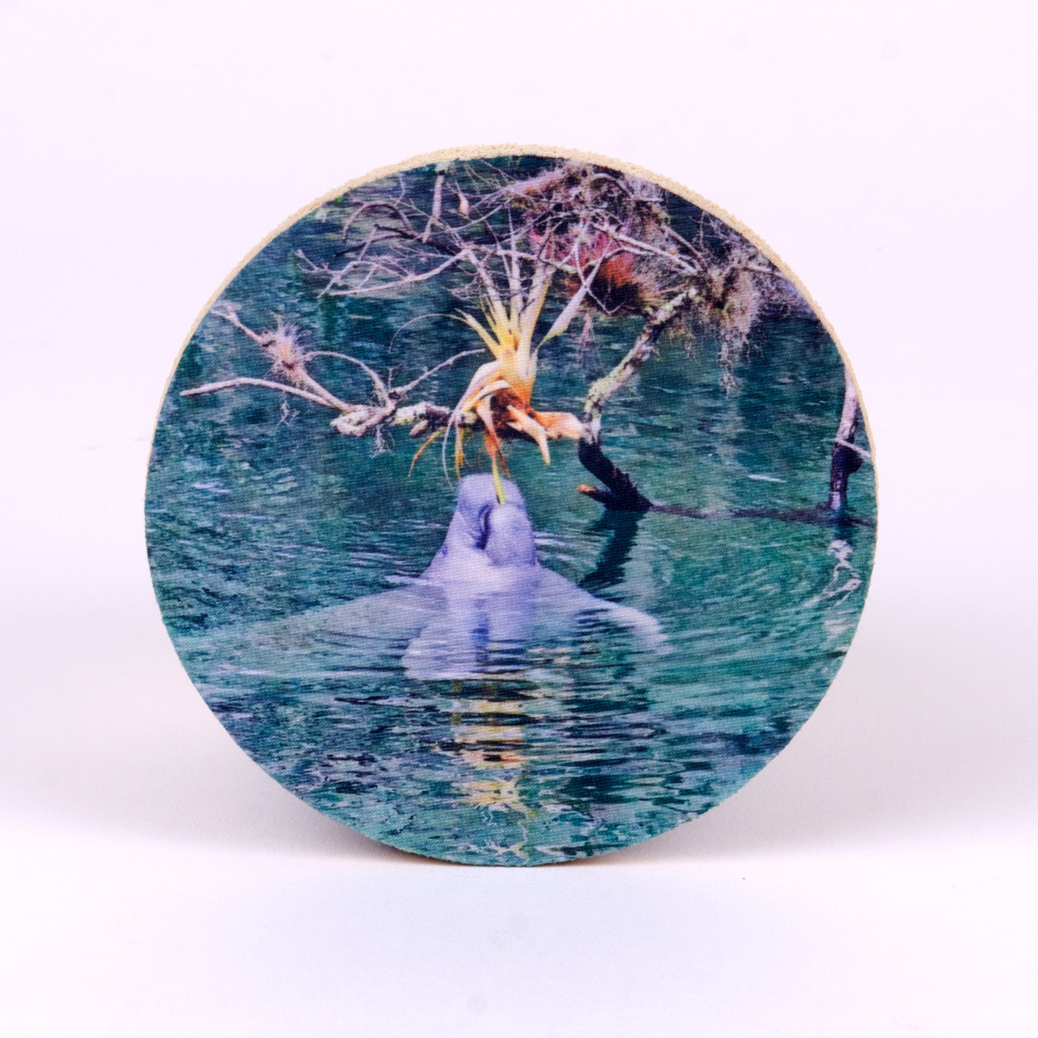 4" round rubber coaster with manatee