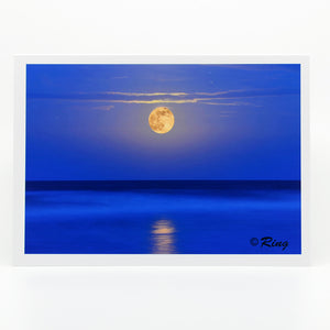 A Super Moon rising out of the ocean captured at the end of Flagler Avenue.  This photograph of the Super Moon is on an amazing quality notecard that will remind you of your evening in New Smyrna Beach.