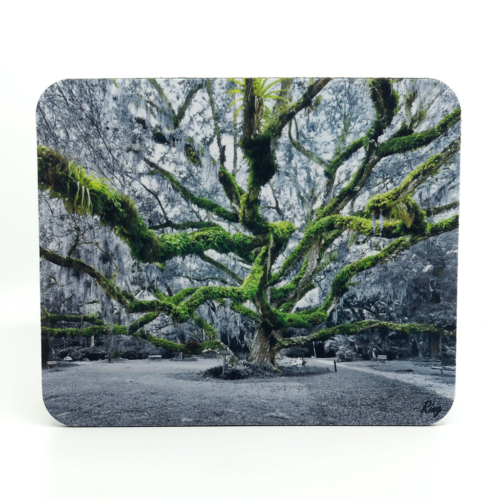 Confederate Oak Tree Photograph on a Rubber Mouse Pad