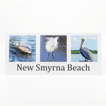 A photograph of a dolphin, snowy egret and pelican in New Smyrna beach on glossy pano notecard