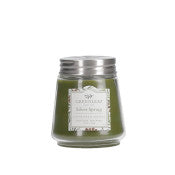Petite Candle in fragrance Silver Spruce in glass jar