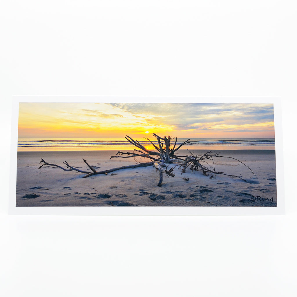 "Seashore's Treasure" Notecard.  We don’t get driftwood of this size very often in New Smyrna Beach, so this is definitely Seashore’s Treasure.   This artwork is printed on an amazing quality notecard.