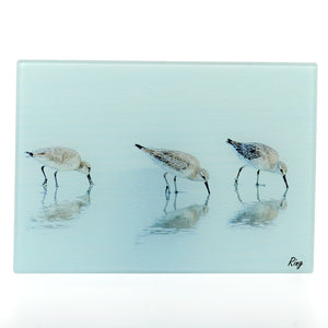 White Rump Sandpipers tempered glass cutting board