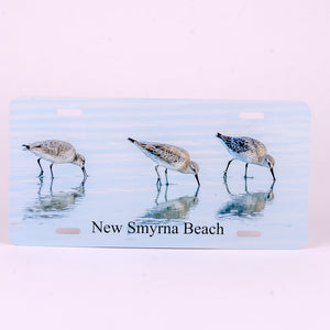 Glossy Aluminum License Plate for your car with 3 white rump sandpipers on the beach